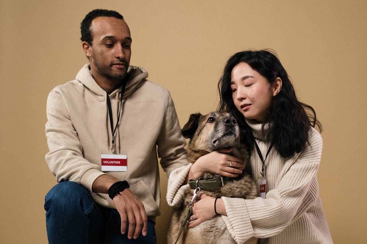 Volunteer animal shelter