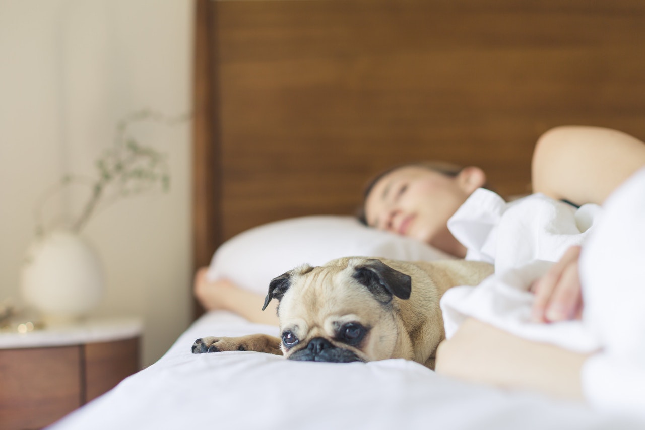 5 Reasons to Never Underestimate the Power of Sleep